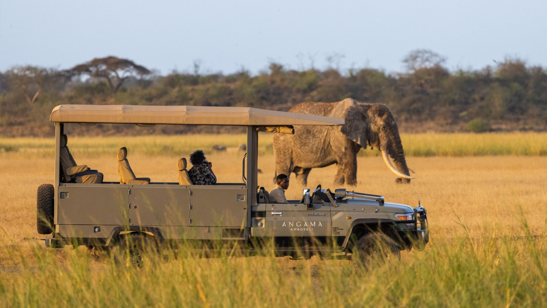 A safari in Amboseli would mean learning about elephant behaviour while seeking out resident herds. (Photo Credit: Sammy Njoroge)